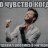 vasya5b_zxcboy