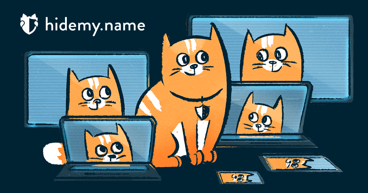 hidemy.name